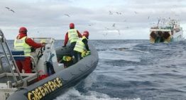 Muere una mujer de 65 años tras el ataque de un tiburón en una playa de Sudáfrica