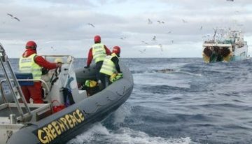 Muere una mujer de 65 años tras el ataque de un tiburón en una playa de Sudáfrica