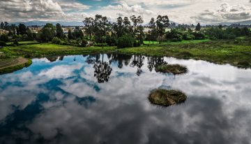 ASOCARS cumple 30 años: tres décadas de trabajo conjunto por la protección ambiental de Colombia