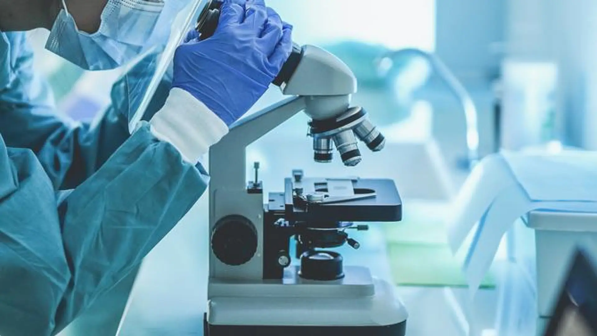 Muere en Francia un hombre con el virus shamonda, que hasta ahora se creía no transmisible a humanos