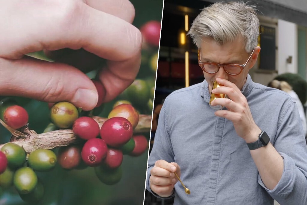 La taza de café más cara del mundo cuesta 300 euros y se vende en el único país dispuesto a pagar algo así: Japón