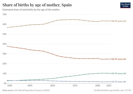 Share Of Births By Age Of Mother 2
