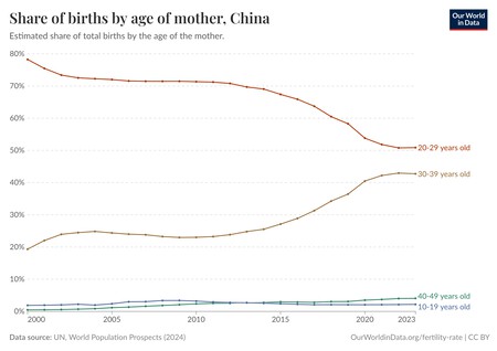 Share Of Births By Age Of Mother 6