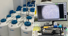 Hay un sitio en Granada con más de 50.000 muestras de semen. Hemos estado allí