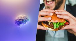 Llevábamos años intentando saber para qué servían los neuroestrógenos. Acabamos de descubrir una pista: regulan el apetito