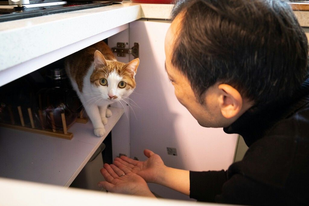 Llevamos toda la vida intentando entender a los animales: Baidu cree tener la clave y lo ha registrado en una nueva patente