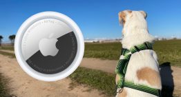 Siempre llevaba a mi perro con un AirTag. Hasta que se escapó en el campo y descubrí su verdadero funcionamiento
