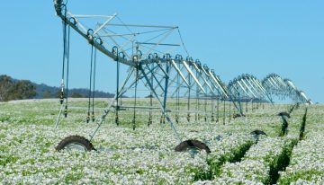 Los datos globales de agua embalsada son increíblemente buenos. La realidad de muchas zonas es muy diferente.
