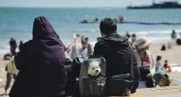 En España hay millones de mascotas y familias deseando viajar con ellas. Hay quien ya ha visto un negocio millonario