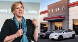 Elon Musk pidió calma y aguantar las acciones de Tesla. Su presidenta hizo lo contrario y ha ganado 230 millones de dólares