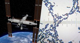 Hemos encontrado bacterias en la estación espacial china. Lo más sorprendente es que es una especie nueva