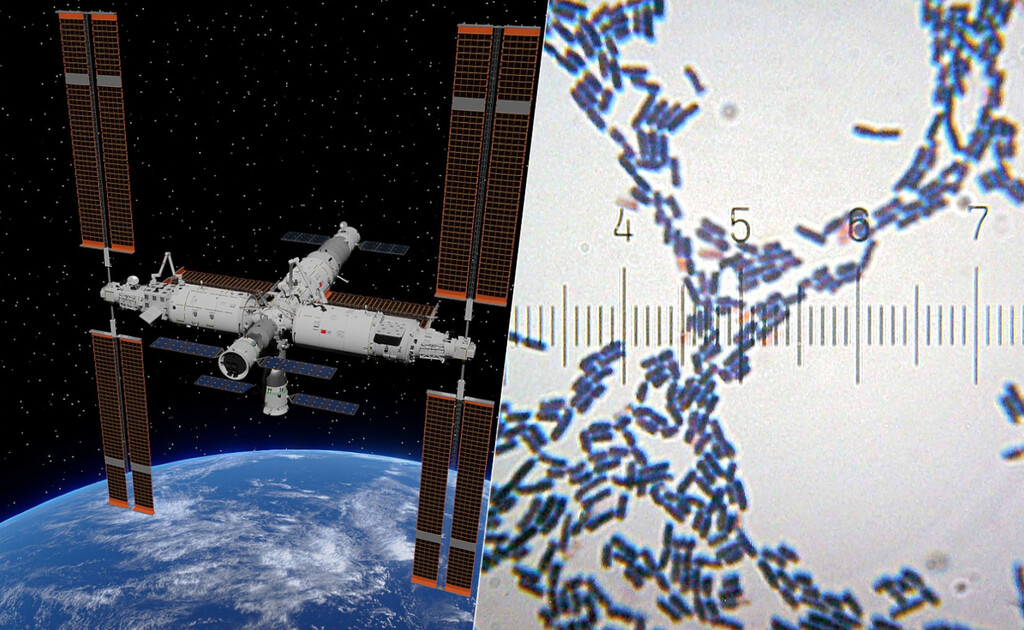 Hemos encontrado bacterias en la estación espacial china. Lo más sorprendente es que es una especie nueva