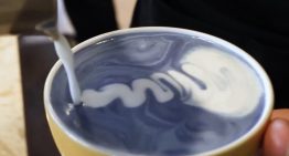 En nuestra obsesión por tener un café más «nutritivo», estamos echando un ingrediente que sabe a charco: espirulina