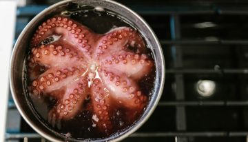Nunca llueve a gusto de todos: acabamos de descubrir que las precipitaciones han causado estragos en el pulpo gallego