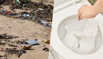 España quiere reducir la contaminación marina y va a empezar en un lugar insospechado: el baño