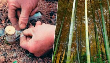 El petróleo moderno no inventó nada. China ya extraía gas natural hace 2.000 años y lo transportaba por tuberías de bambú