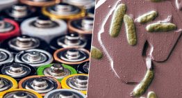Mientras medio mundo busca más litio, unos investigadores de China lo han eliminado de la ecuación: baterías con bacterias