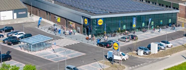 Lidl va a arrasar con este pequeño electrodoméstico ideal para el verano y que cuesta menos de 15 euros