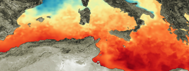 Así está agonizando el Mediterráneo: sobreexplotación, contaminación y ahora meses de una terrible ola de calor 