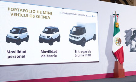 Olinia