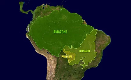 Tamaño el cerrado