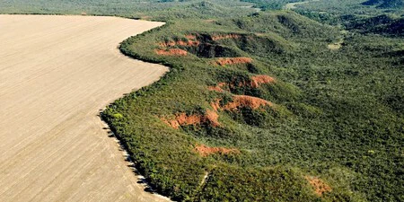 Otro ejemplo del "corte" producido en el Cerrado