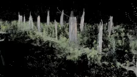 Mapa 3D Árbol