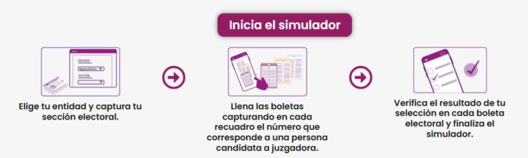 Simulador del INE para votar.