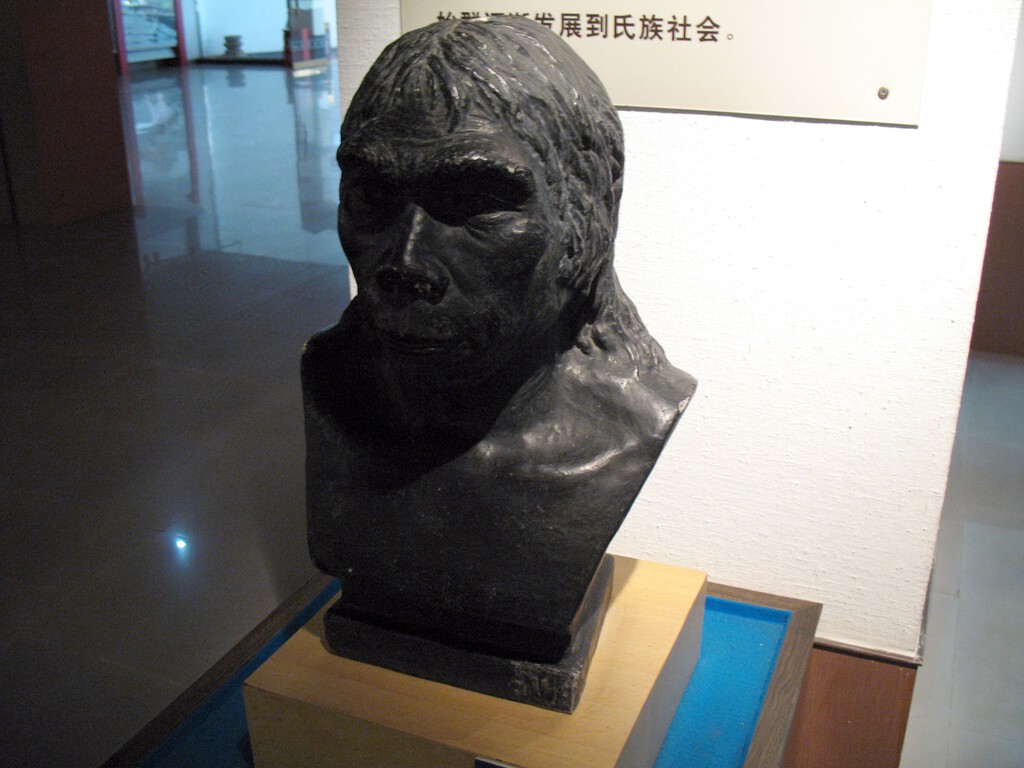 En 1958 encontramos un cráneo con 300.000 años en China. El problema es que no sabemos a qué "Homo" pertenece 