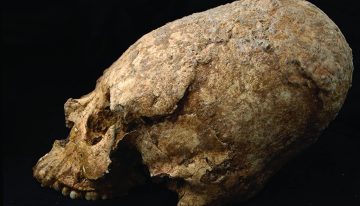 Hemos encontrado un cráneo de hace 6.200 años con forma de cono y signos de violencia. La gran pregunta es qué hacía ahí