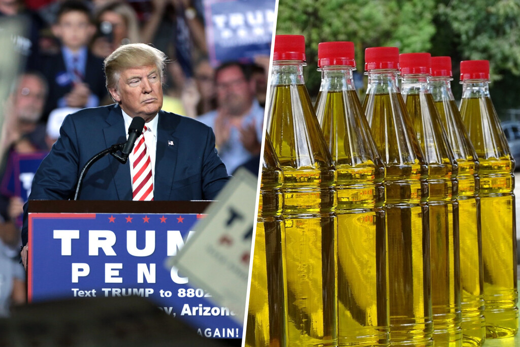 Estados Unidos ha amenazado con represalias a España si no pone el 5% del PIB en Defensa. El aceite de oliva tiembla 