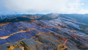 China ha estado tan cerca de morir de éxito con sus paneles solares que ha tomado la única decisión lógica: fabricar menos