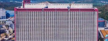 Un rascacielos de 26 pisos donde sólo vivirán cerdos: la descomunal "granja vertical" creada por China 