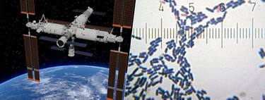 El problema no es que hayamos encontrado bacterias en una estación espacial. El problema es que es una especie nueva