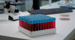 ¿Qué es la sangre dorada y por qué es una maldición para quien la posee?