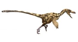 Catalunya fue el último paraíso europeo de los dinosaurios carnívoros justo antes de su extinción