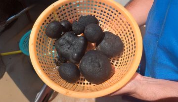 Japón cree tener el mayor depósito de tierras raras de mundo escondido en una isla diminuta. Y ya tiene fecha para extraerlas