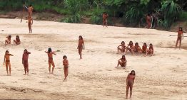 No es que estemos talando demasiados árboles, es que la mayor tribu no contactada del planeta está a punto de dejar de serlo