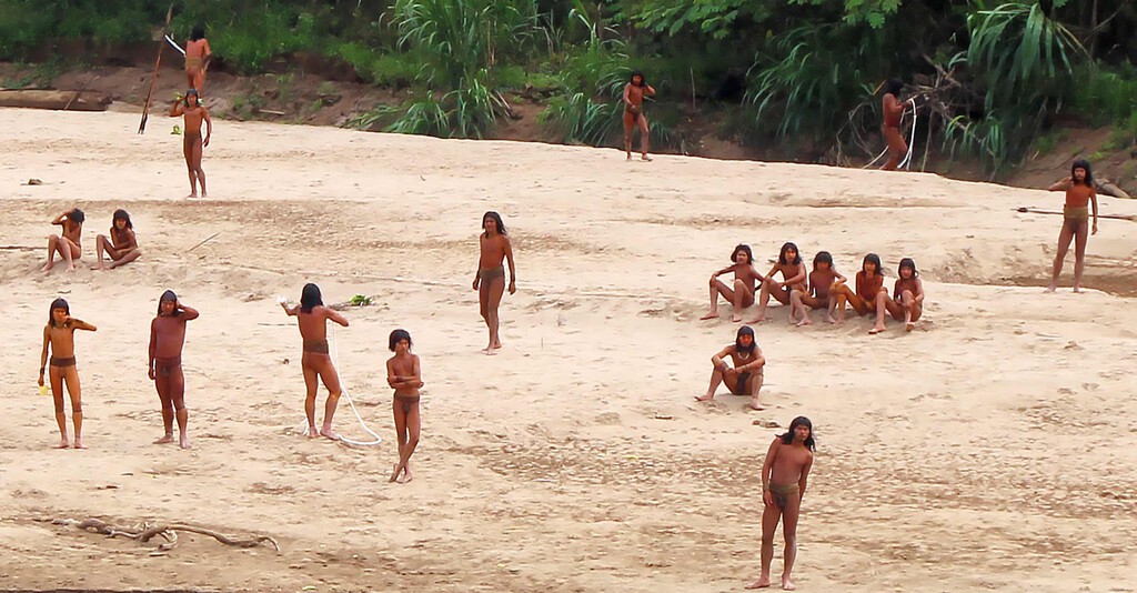 No es que estemos talando demasiados árboles, es que la mayor tribu no contactada del planeta está a punto de dejar de serlo