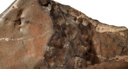 El trozo más grande de Marte que hay en la Tierra no está en un museo, ni un laboratorio: está en una casa de subastas