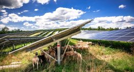 Si Europa está batiendo récords de energía solar este verano, ¿por qué se ha disparado el precio de la luz?