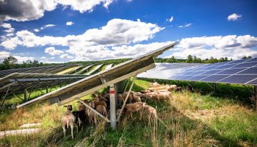 Si Europa está batiendo récords de energía solar este verano, ¿por qué se ha disparado el precio de la luz?