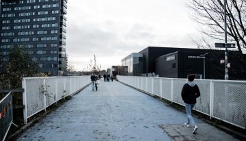 En Suecia la soledad ya es un problema para la salud y defensa del país. Así que está gastando millones en solucionarlo