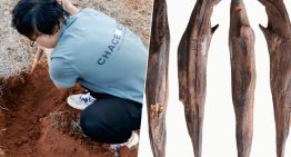 Hemos encontrado herramientas de hace 300.000 años en China. Y ponen patas arriba lo que creíamos sobre la paleodieta