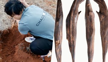 Hemos encontrado herramientas de hace 300.000 años en China. Y ponen patas arriba lo que creíamos sobre la paleodieta