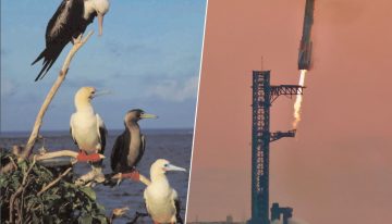 EEUU y SpaceX querían revolucionar la entrega de armas en cualquier parte del mundo. Un pájaro tropical tenía otros planes
