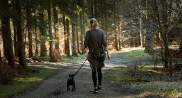 El debate sobre si es mejor caminar rápido o caminar lento esta zanjado. Al menos si lo que buscamos es nuestra salud