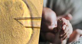 Un bebé, tres padres: la fecundación 'in vitro' ha dado un sorprendente paso utilizando ADN mitocondrial