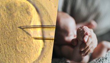 Un bebé, tres padres: la fecundación 'in vitro' ha dado un sorprendente paso utilizando ADN mitocondrial