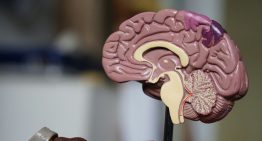 La productividad no se basa en trabajar más horas: es más eficiente aprender cómo funciona tu cerebro